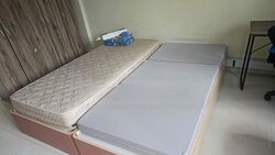 Blk 411 Jurong West Street 42 (Jurong West), HDB 4 Rooms #476529871